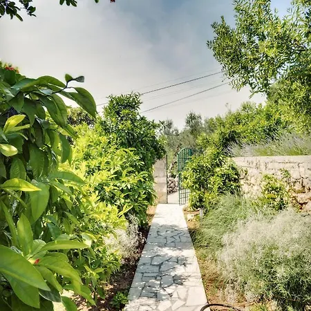 Ela Apartamento Prvić Luka