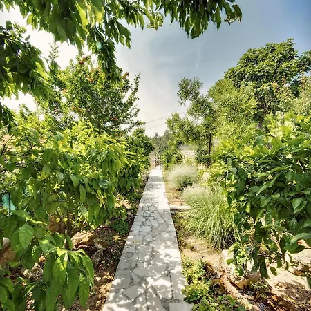 Appartement Ela Prvić Luka